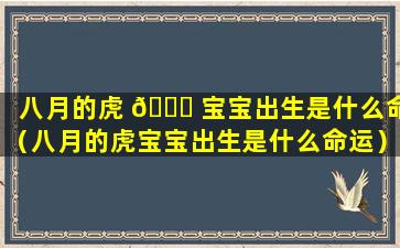 八月的虎 💐 宝宝出生是什么命（八月的虎宝宝出生是什么命运）